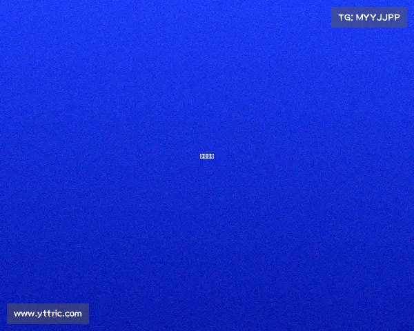 青龙电商 青龙电商